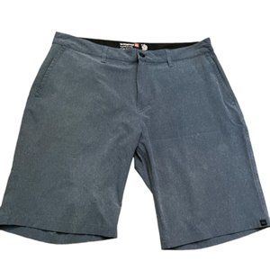 Quick silver Anphibians Board short